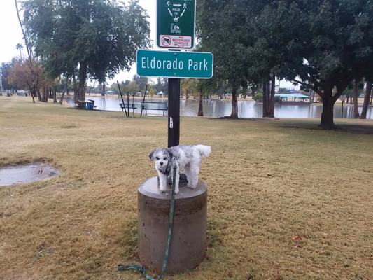 Eldorado Park photo 2